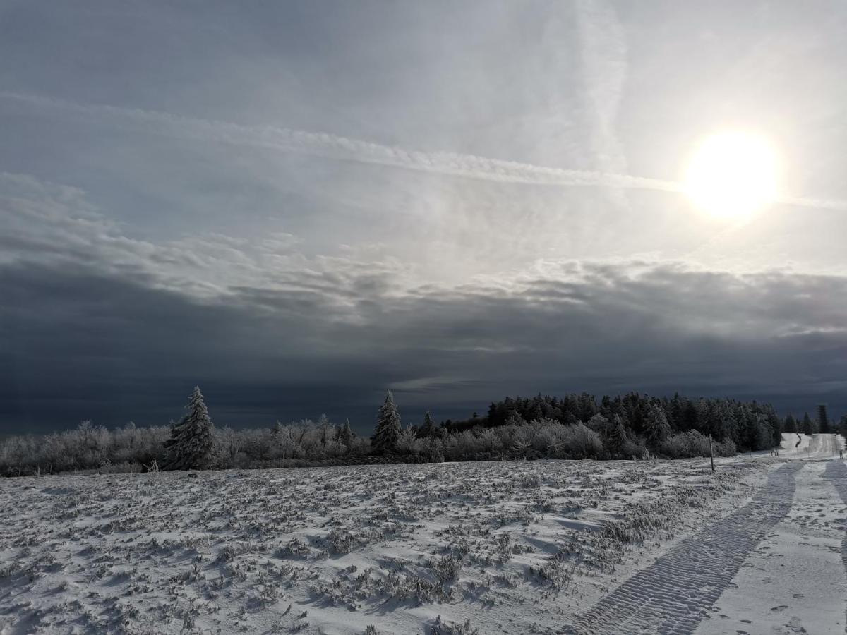 Gite Du Cerf Birkenwald Екстер'єр фото