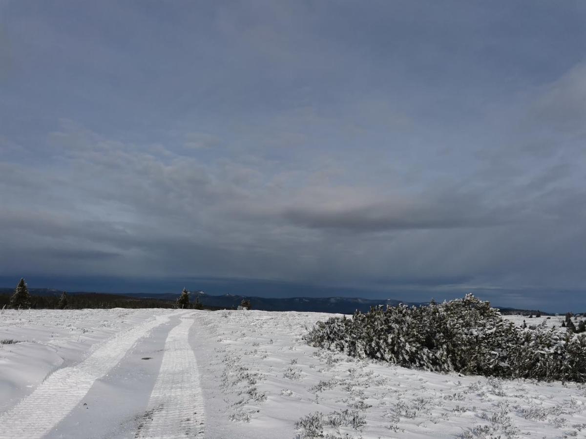 Gite Du Cerf Birkenwald Екстер'єр фото