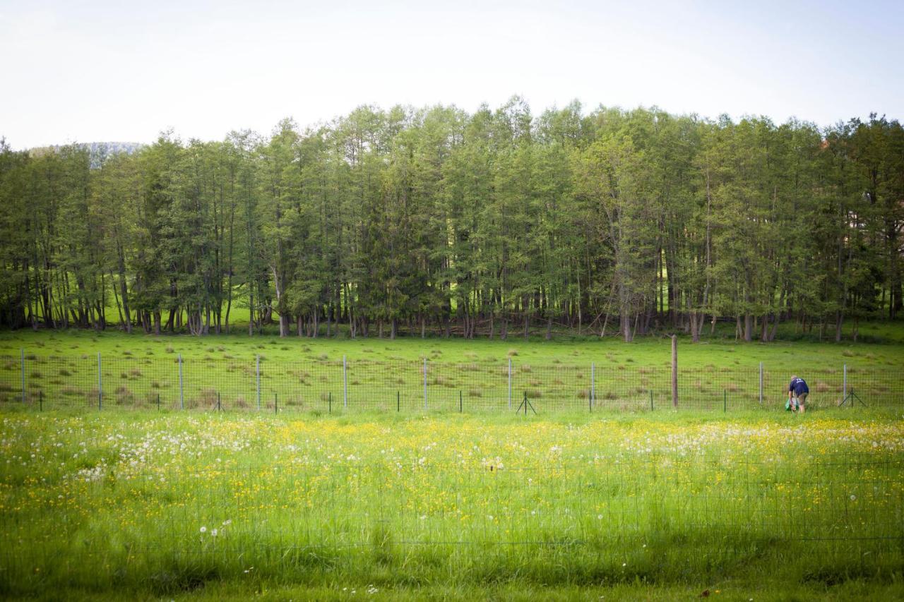 Gite Du Cerf Birkenwald Екстер'єр фото