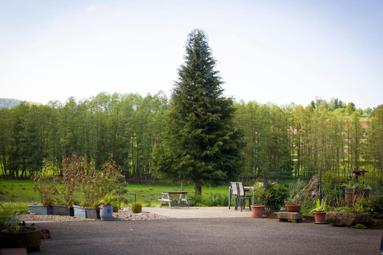 Gite Du Cerf Birkenwald Екстер'єр фото